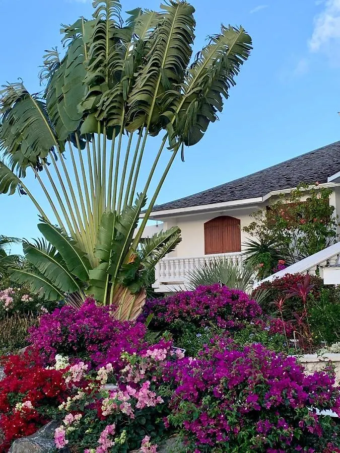 Domaine Saint-Francois Hotel 4*, Saint-Francois (Grande-Terre) Guadeloupe