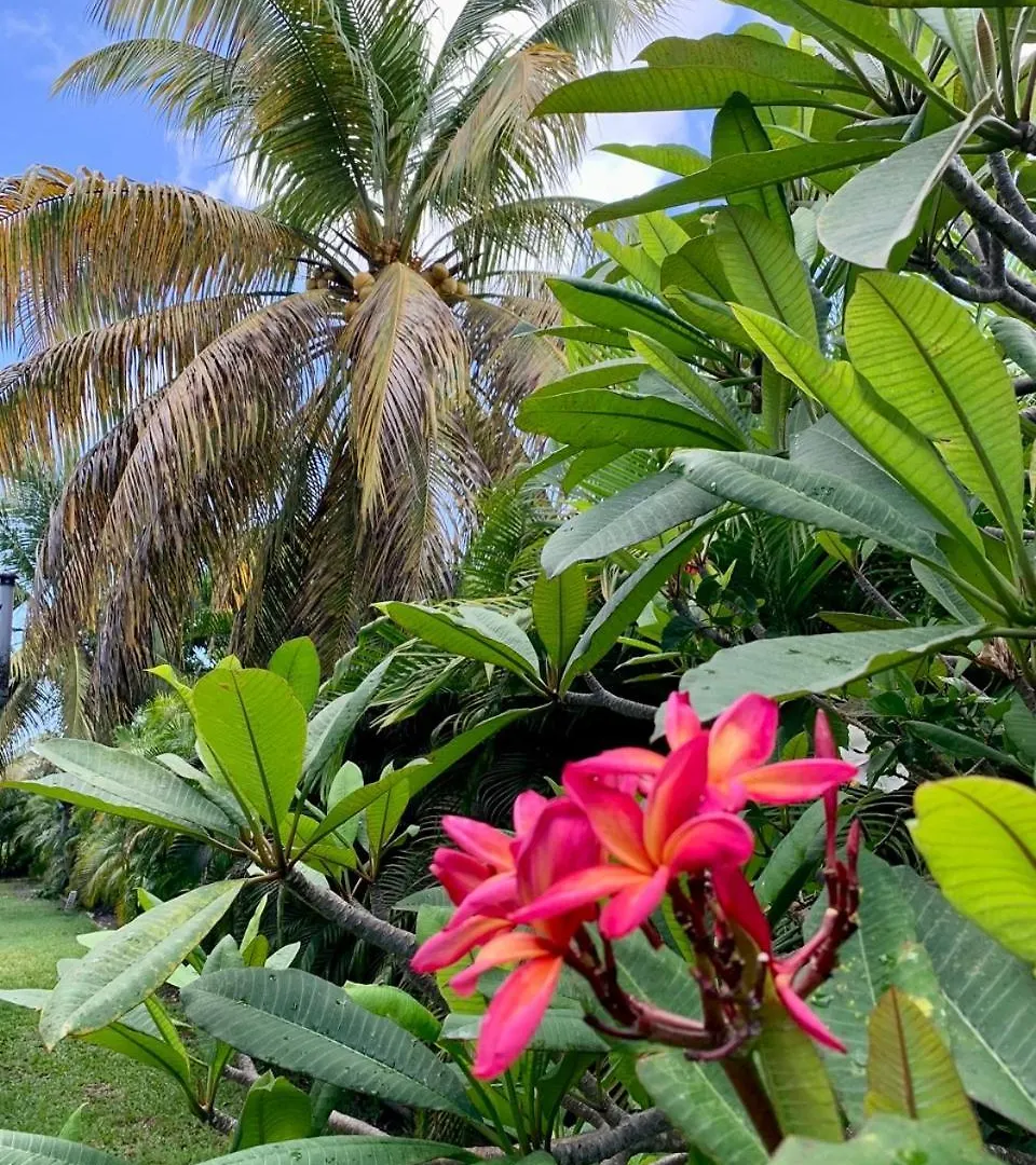 Domaine Saint-Francois Hotel Guadeloupe