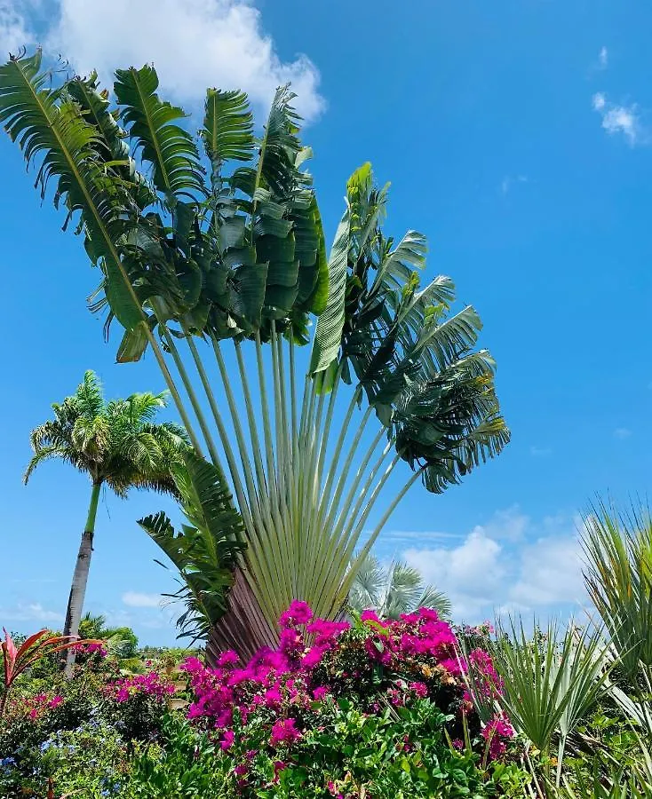Domaine Saint-Francois Hotel Guadeloupe